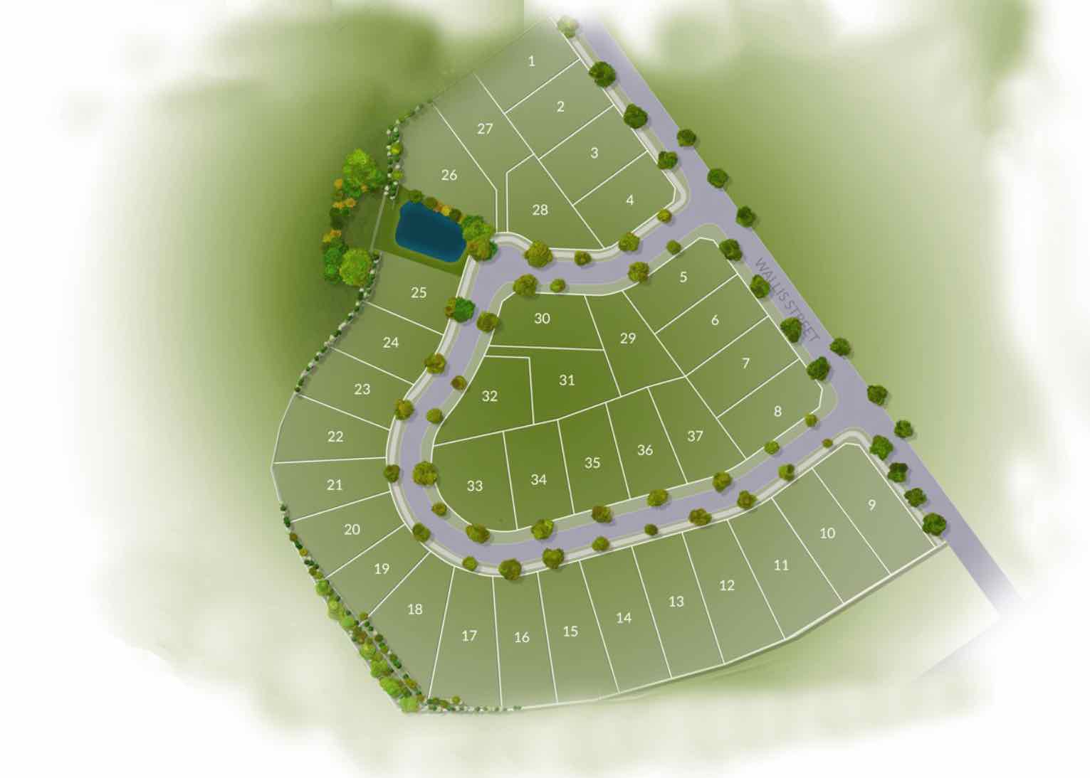 31 Wallis Street, East Maitland Masterplan