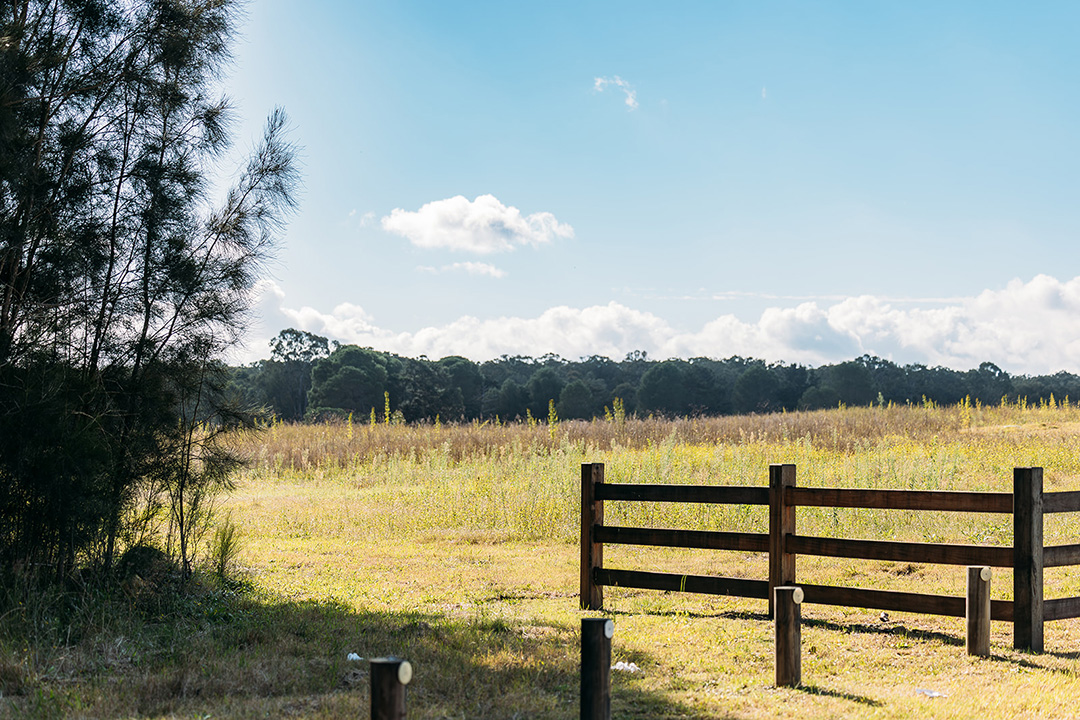 ARIA Hunter Valley Estate - Rothbury Other