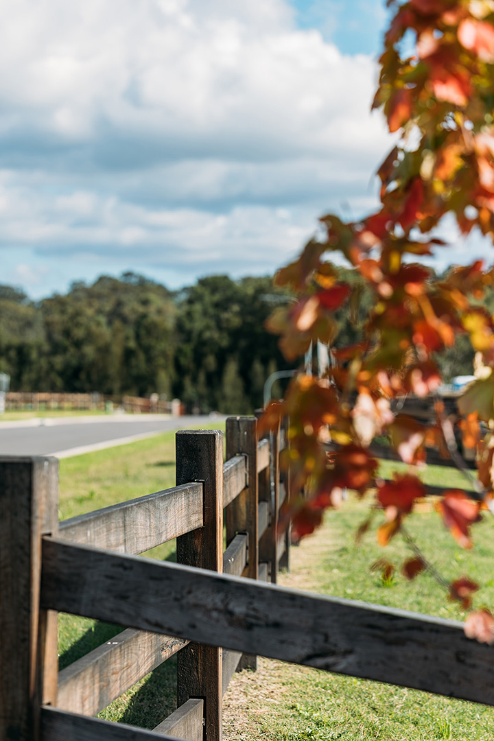 ARIA Hunter Valley Estate - Rothbury External