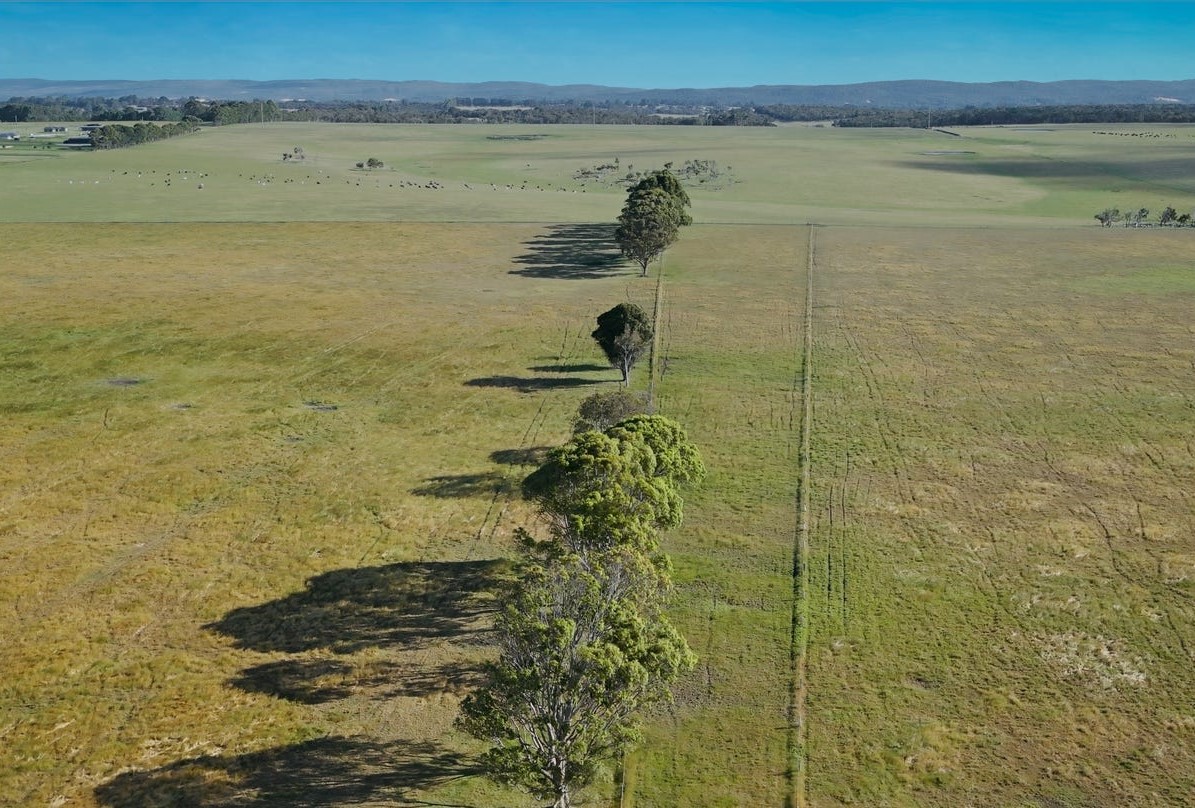 Albany Views Private Estate - Drom Aerial