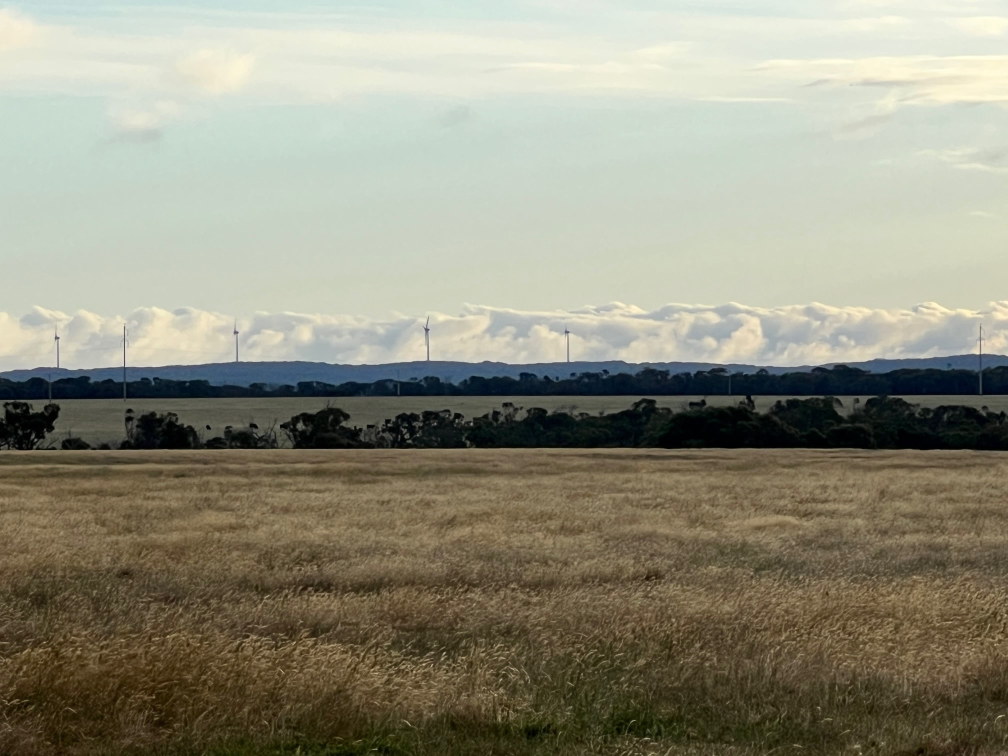 Albany Views Private Estate - Drome 