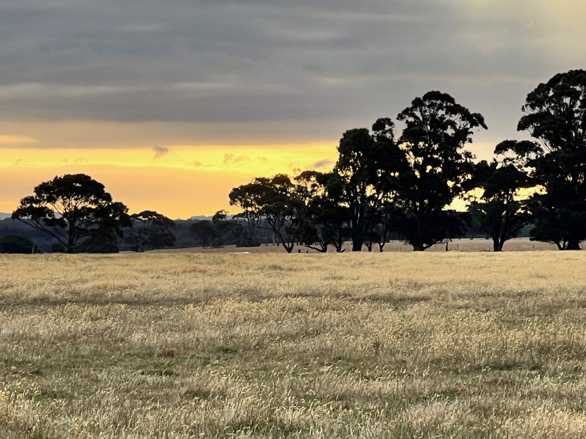 Albany Views Private Estate - Drome 