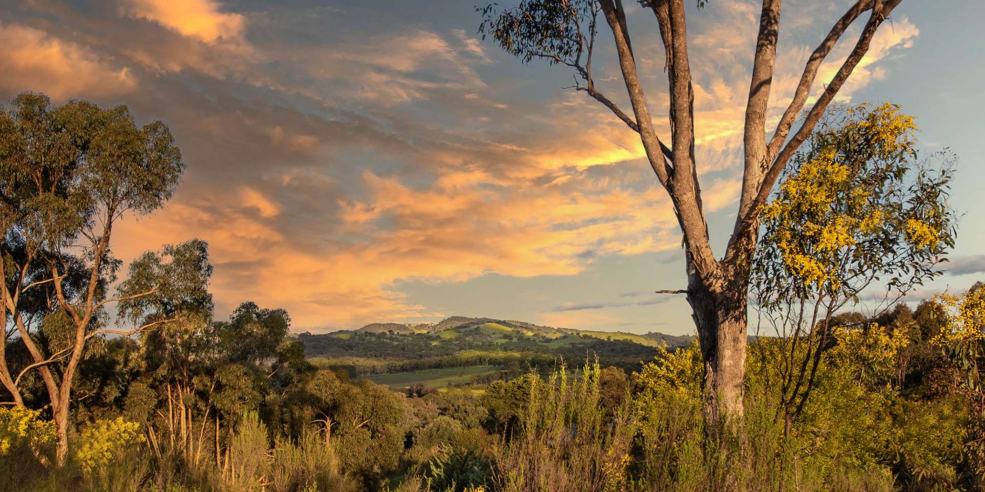 Albero Rise Estate - Broadford