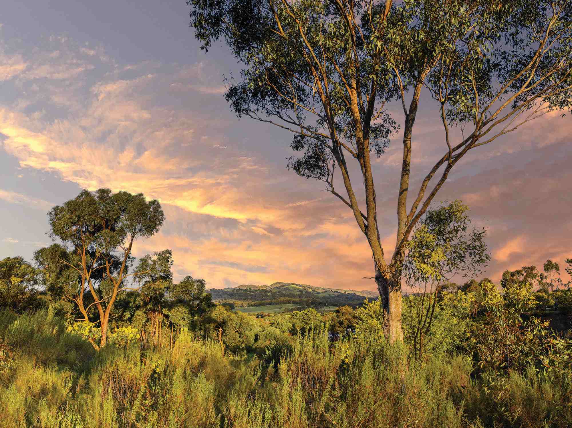Albero Rise Estate - Broadford