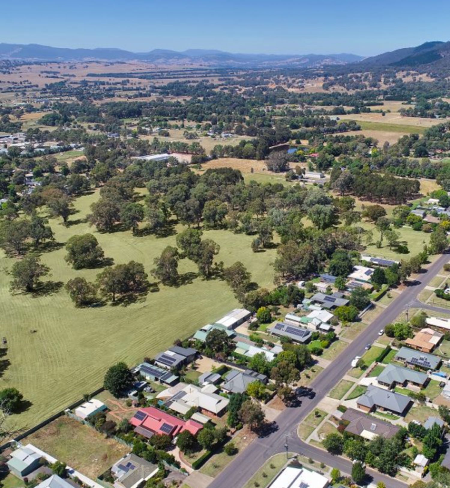 Alpine Estate - Mansfield