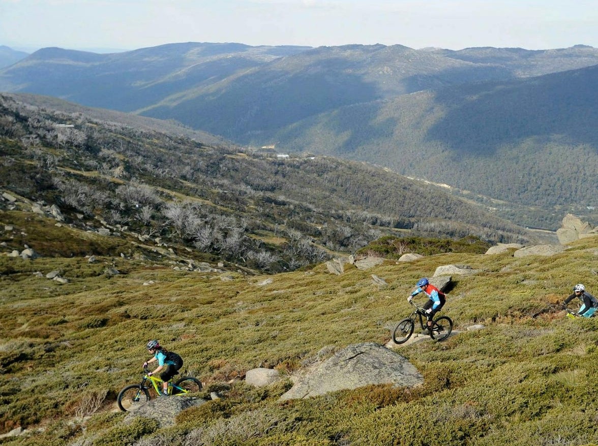 Alpine Rise Estate - Cooma Lifestyle