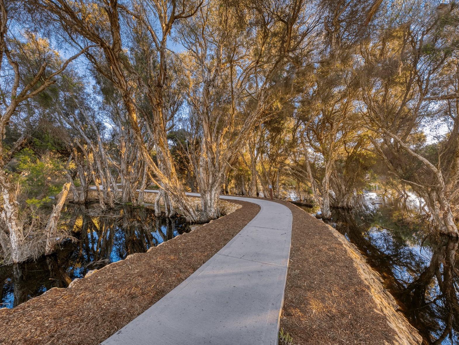 Ariella Private Estate - Henley Brook Streetscape