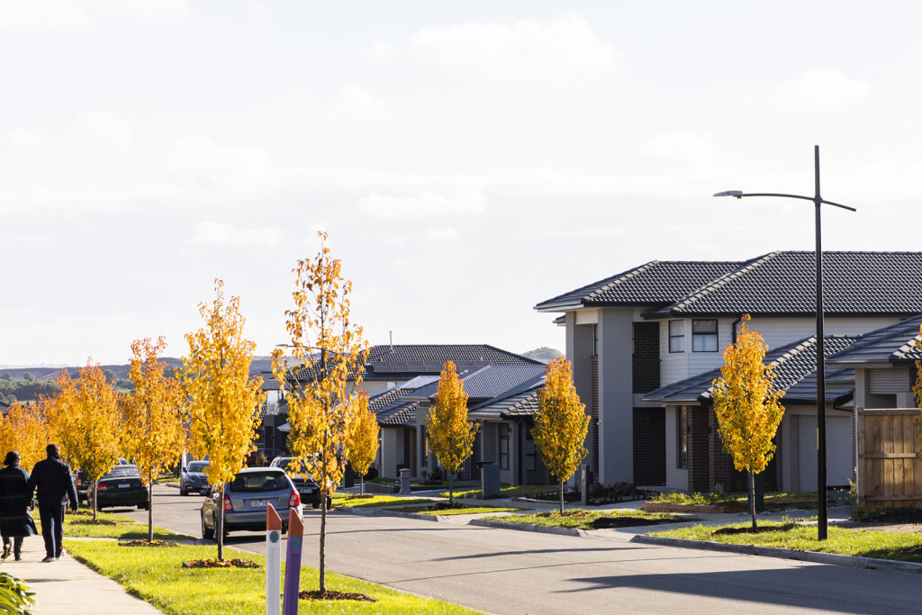 Arramont Estate - Woll Streetscape