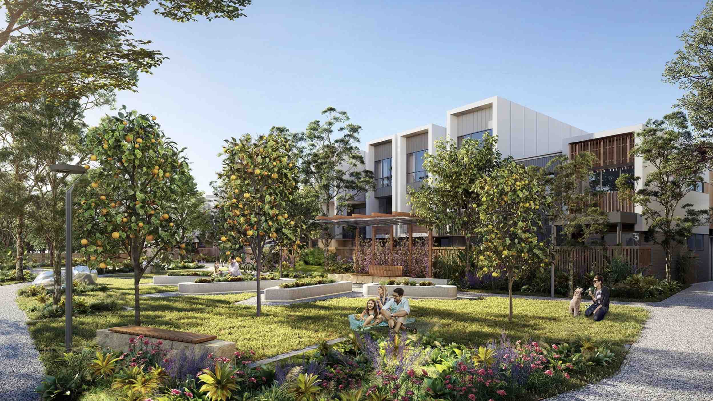Ascot Aurora Estate - Ascot Community Garden Render