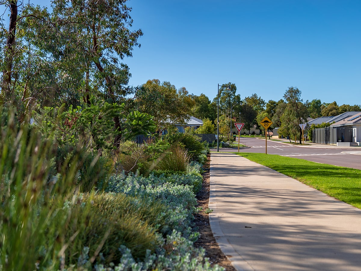 Baldivis Grove Estate - Baldivis Streetscape