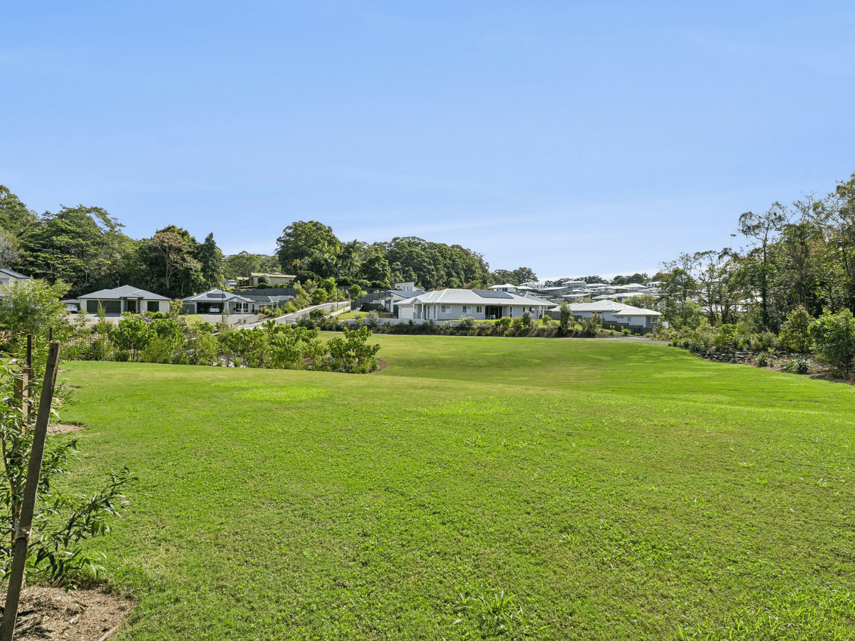 Bamboo Estate - Palmwood Streetscape