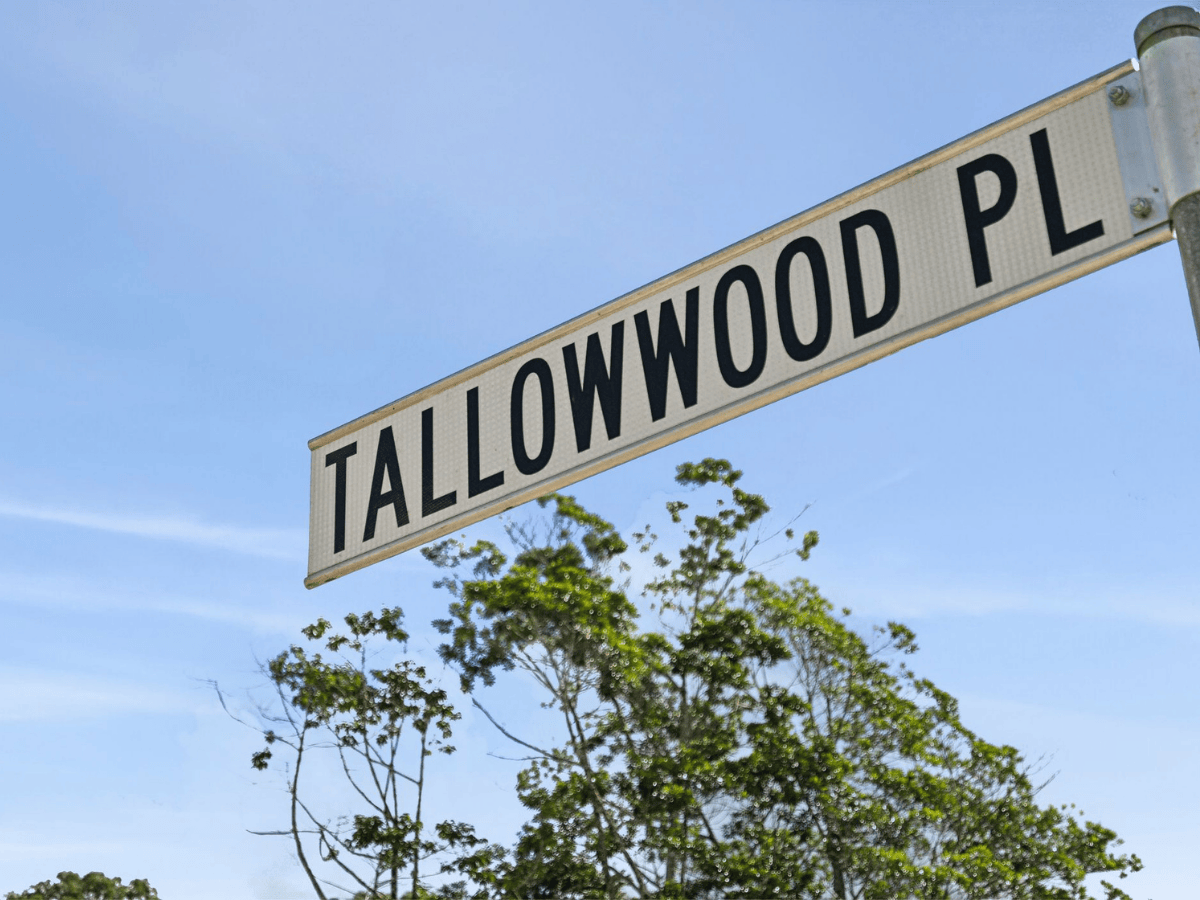 Bamboo Estate - Palmwood Streetscape