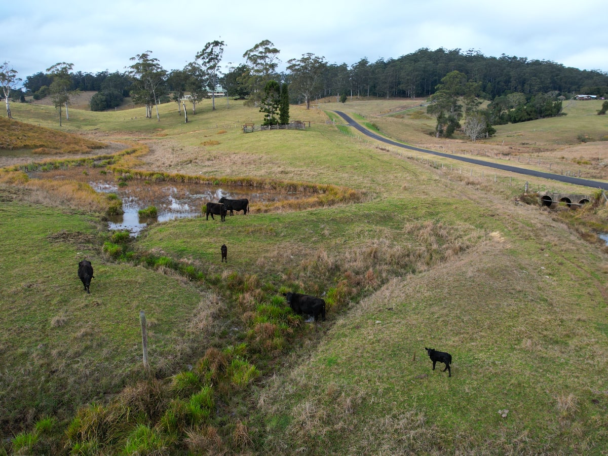 Belledeer Estate - Bellthorpe 