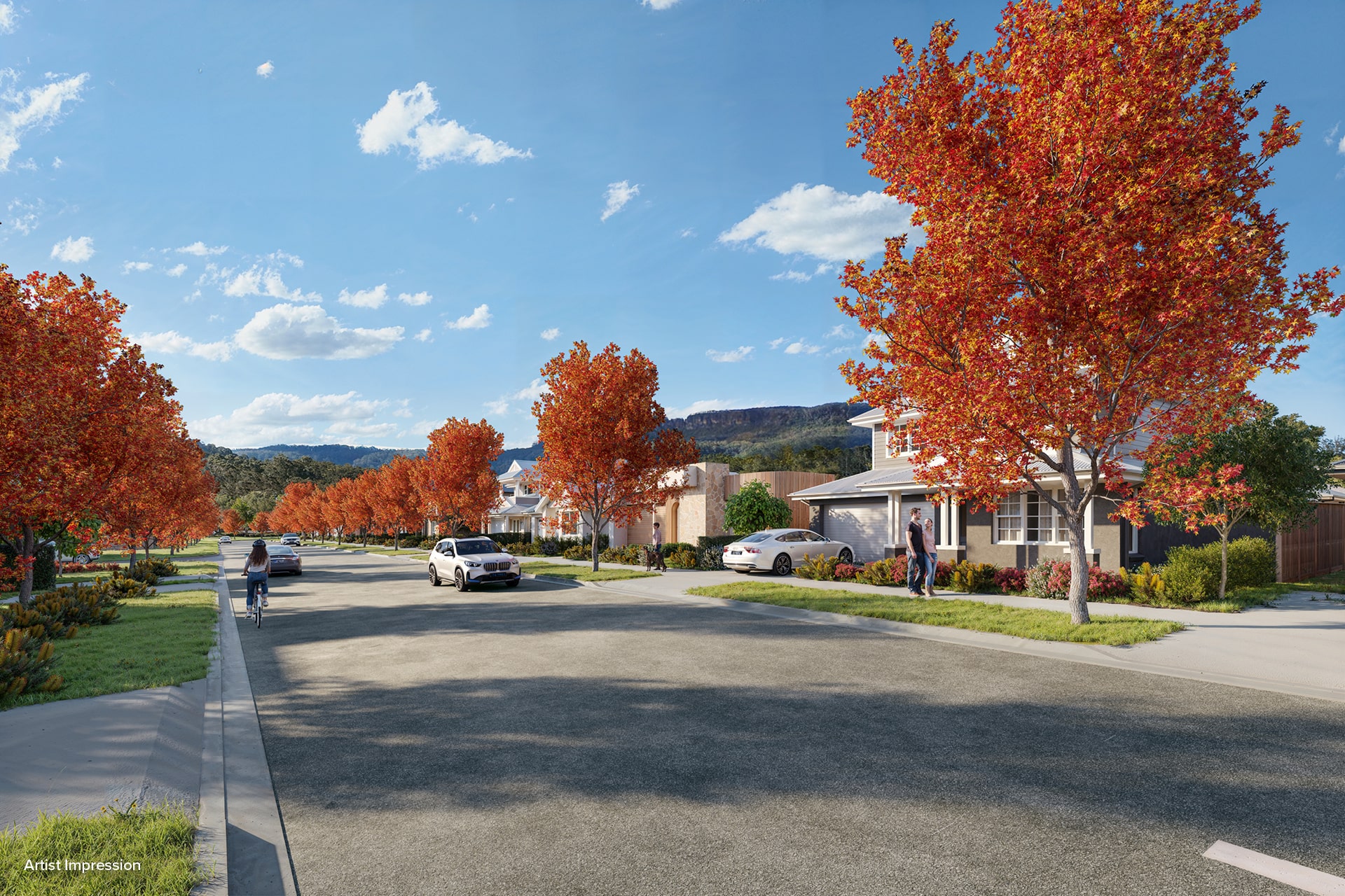 Berry Lane Estate - Berry Streetscape