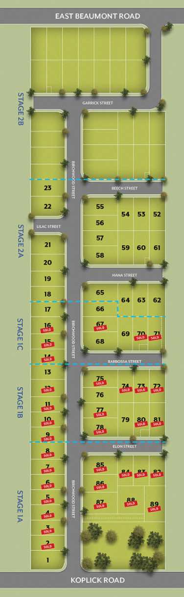 Birchwood Estate - Park Ridge Masterplan_0