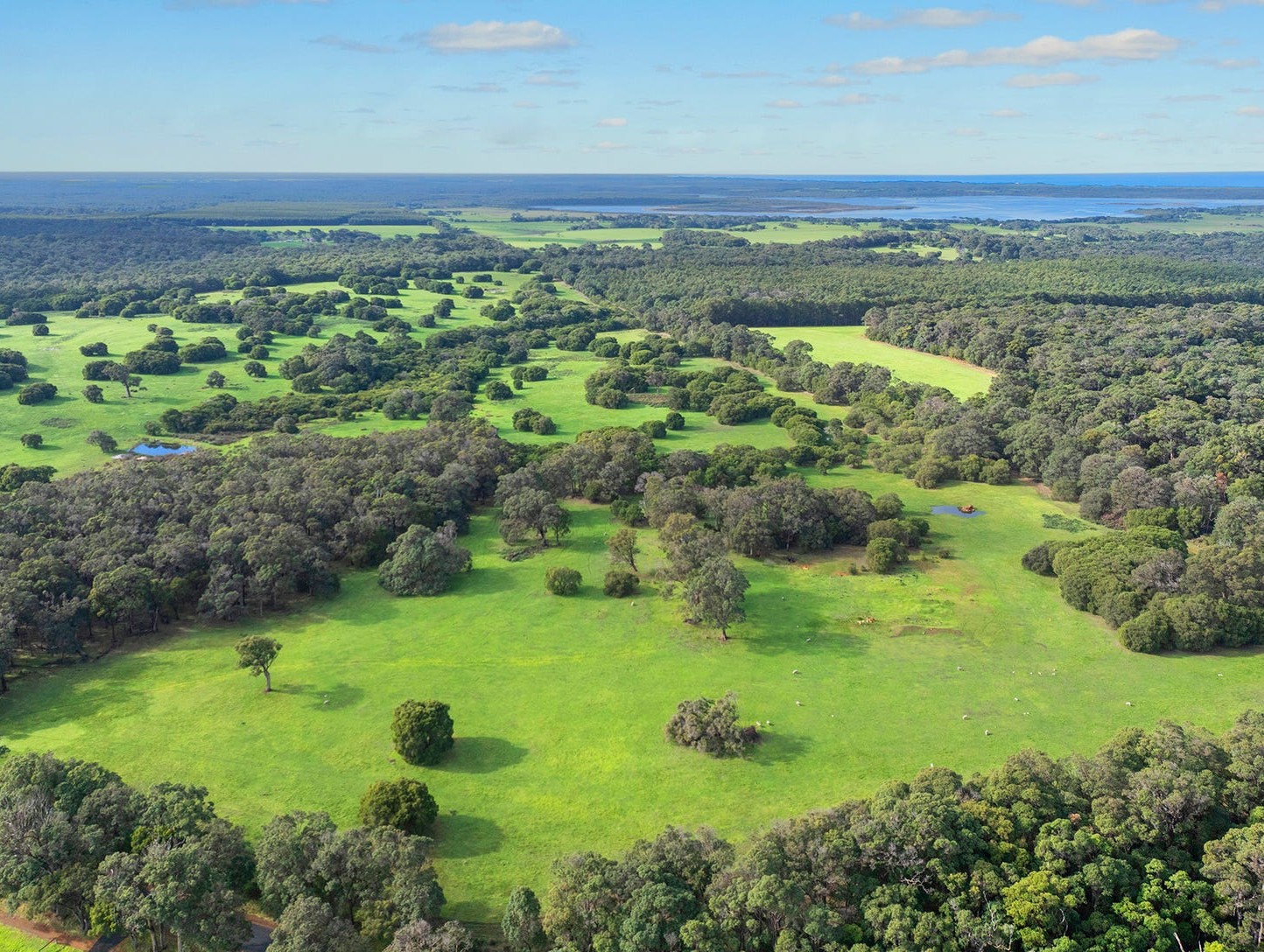 Blackwood Grove Estate - Kudardup Aerial