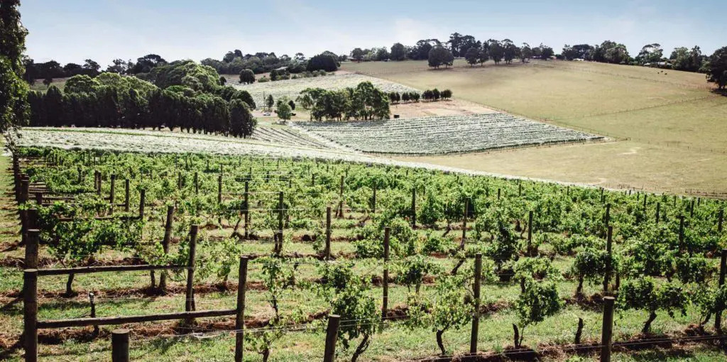 Bloomfield Warragul Estate - Nilma Lifestyle