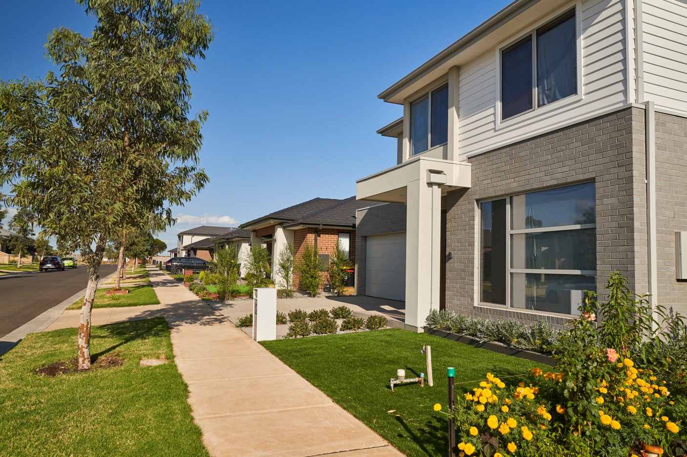 Botania Estate - Fraser Ri Streetscape