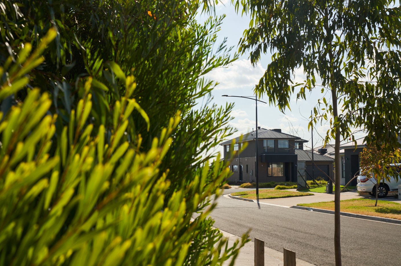 Botania Estate - Fraser Ri Streetscape