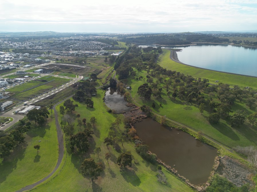 Brendan Estate - Greenvale Aerial