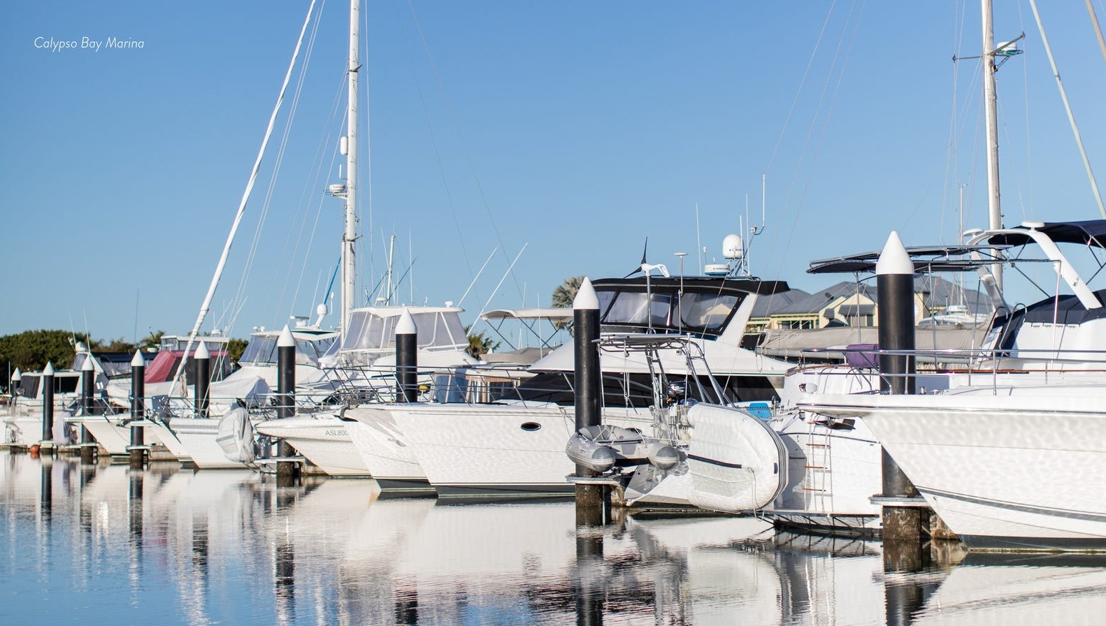 Calypso Bay Estate - Jacobs Well Lifestyle