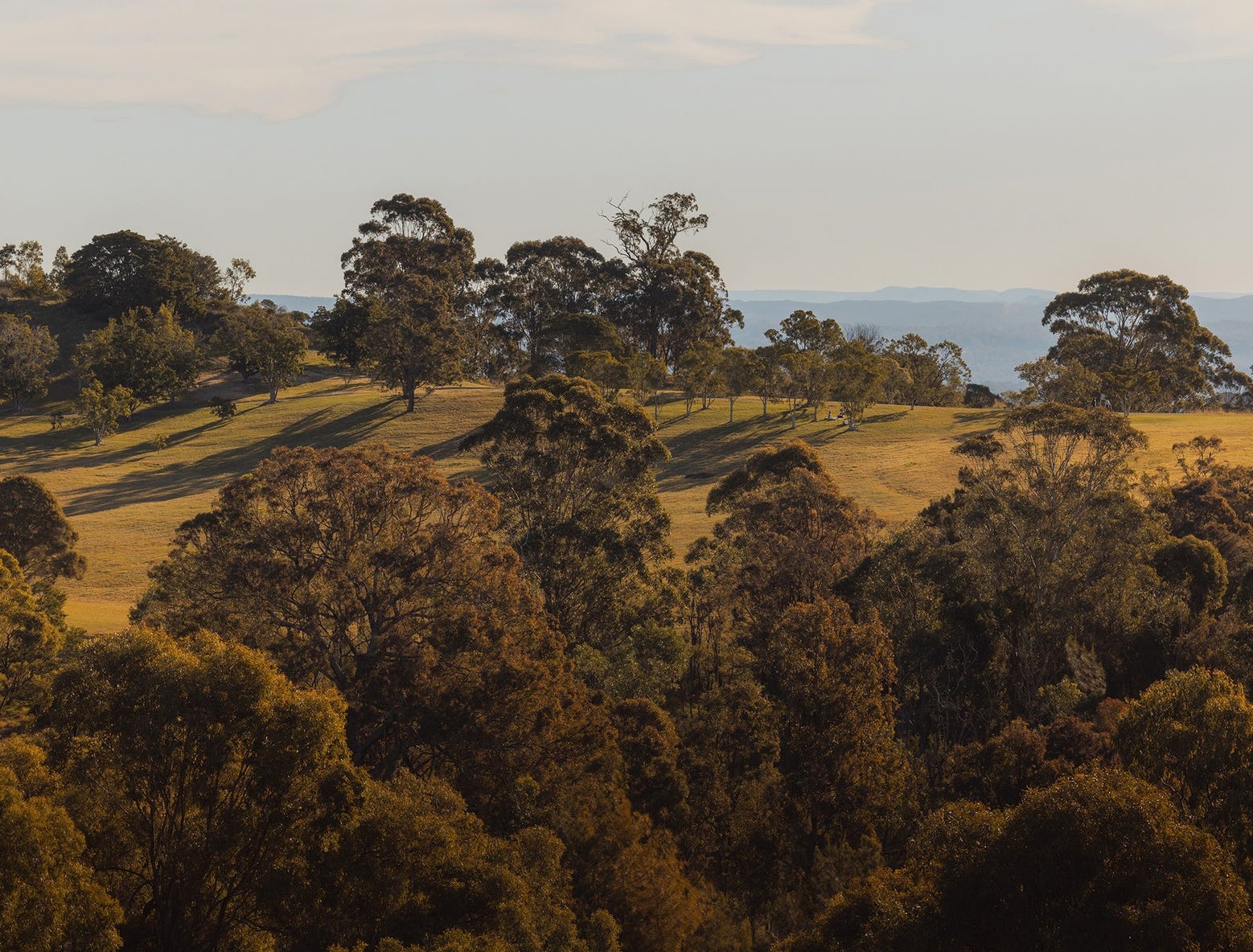 Campbell & Hart - Campbelltown