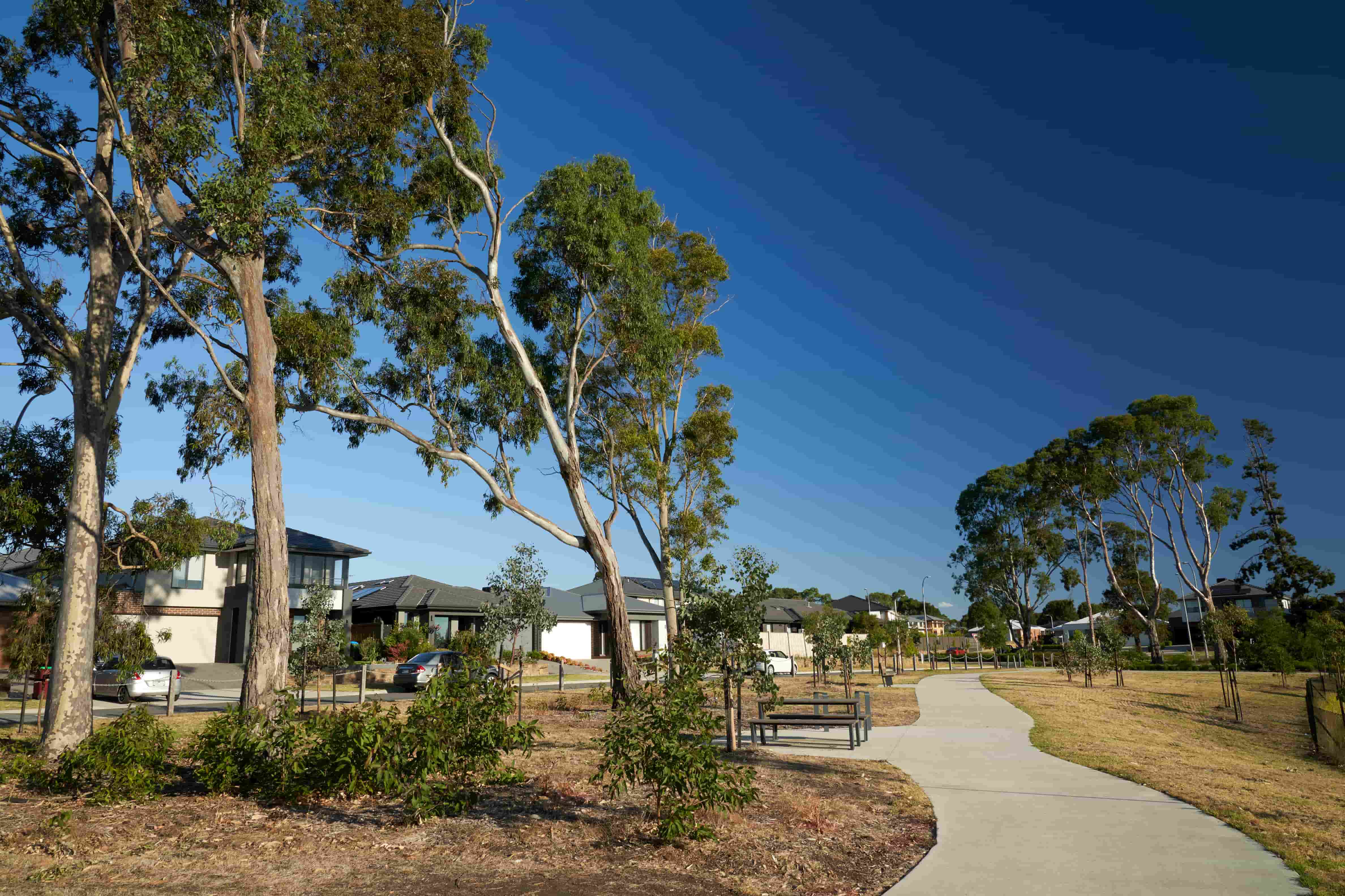Canopy at Amstel Estate - Cranbourne Streetscape