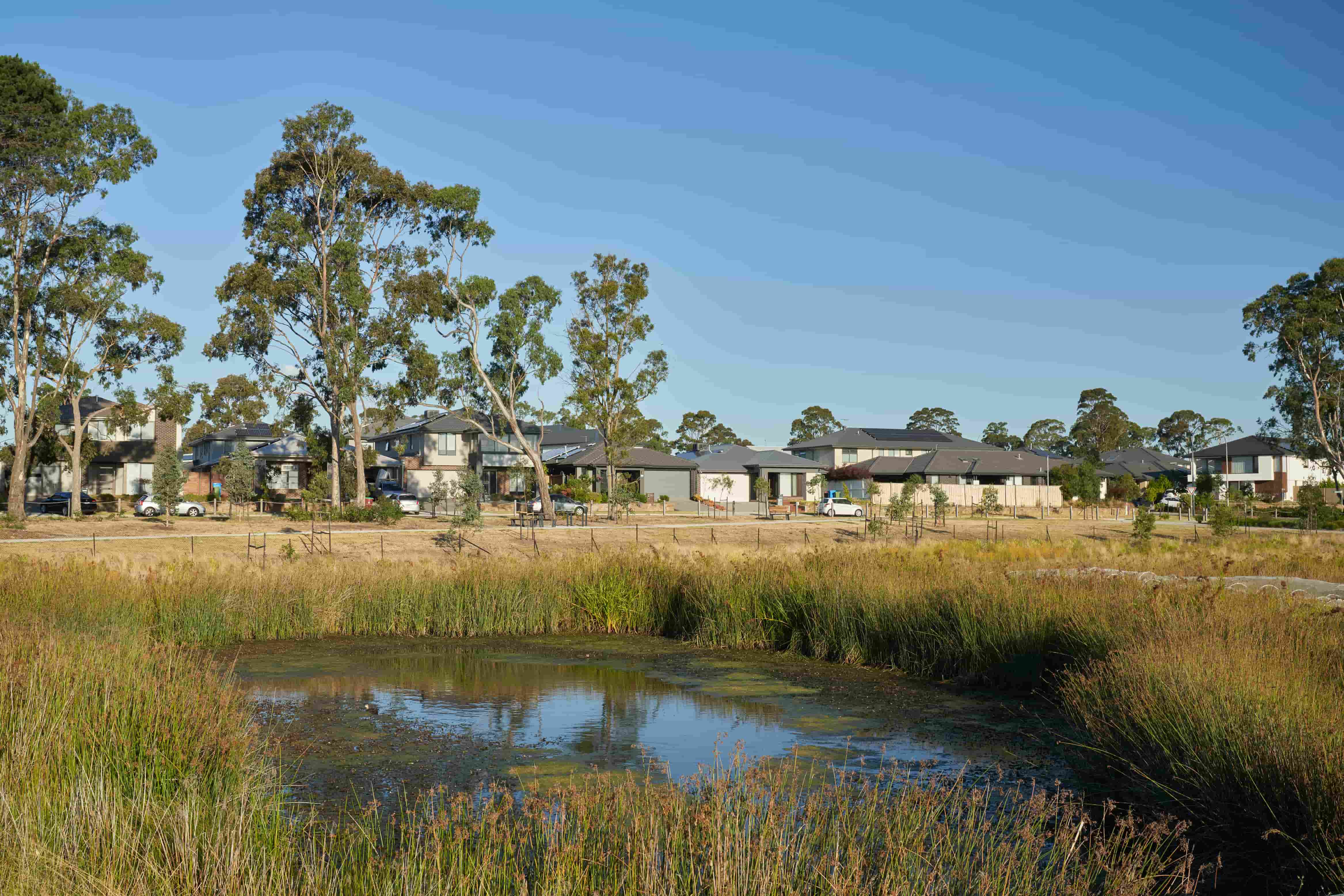 Canopy at Amstel Estate - Cranbourne Amenities
