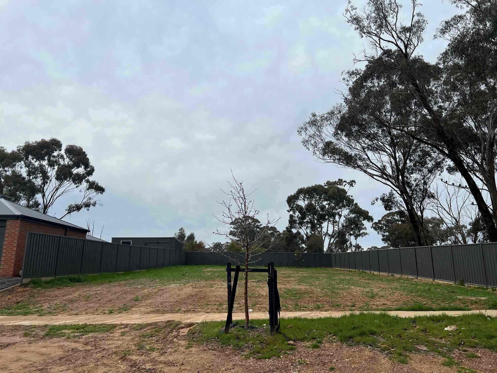 Canterbury Estate - Jackass Flat