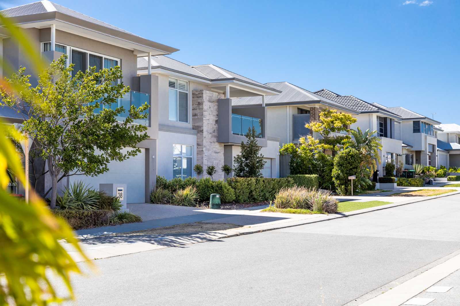 Catalina Estate - Mindari Streetscape