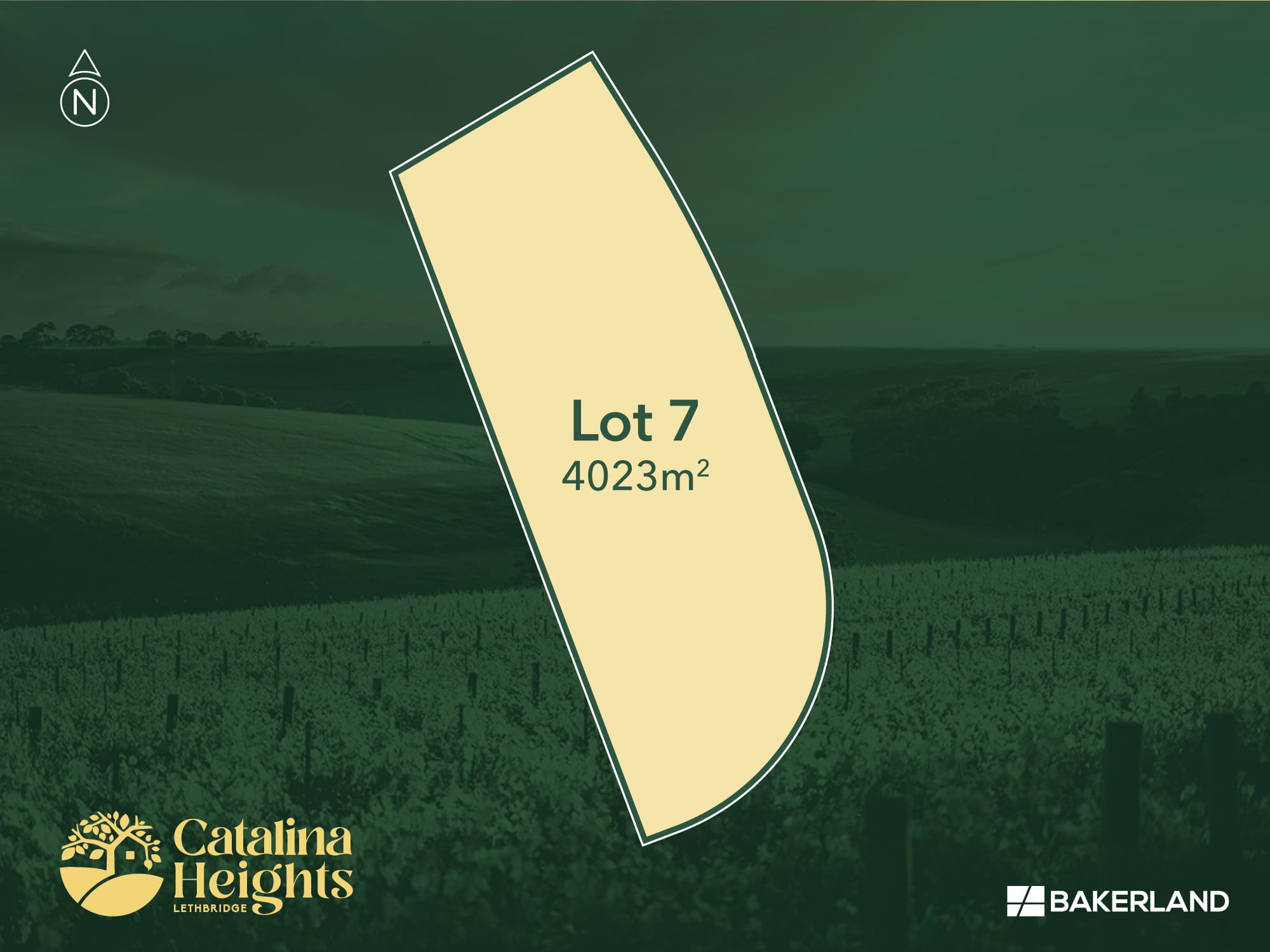 Catalina Heights Estate - Lethbridg Render