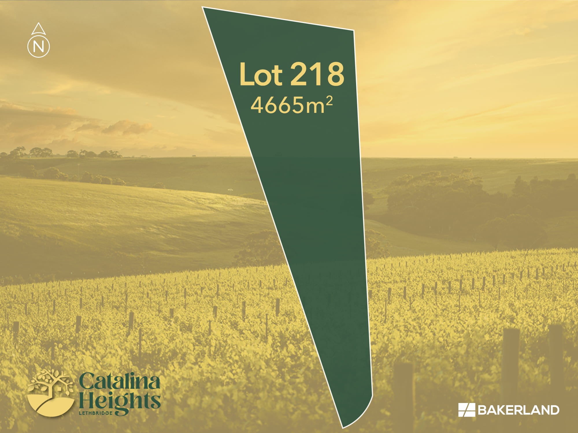 Catalina Heights Estate - Lethbridg Render
