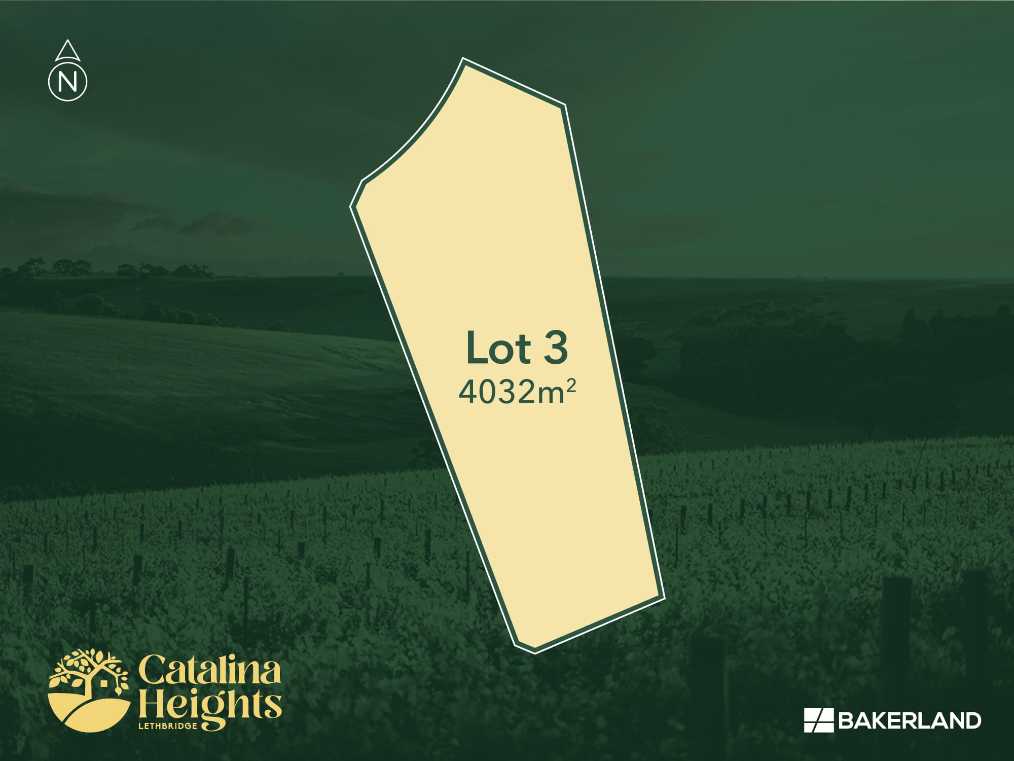 Catalina Heights Estate - Lethbridge Render