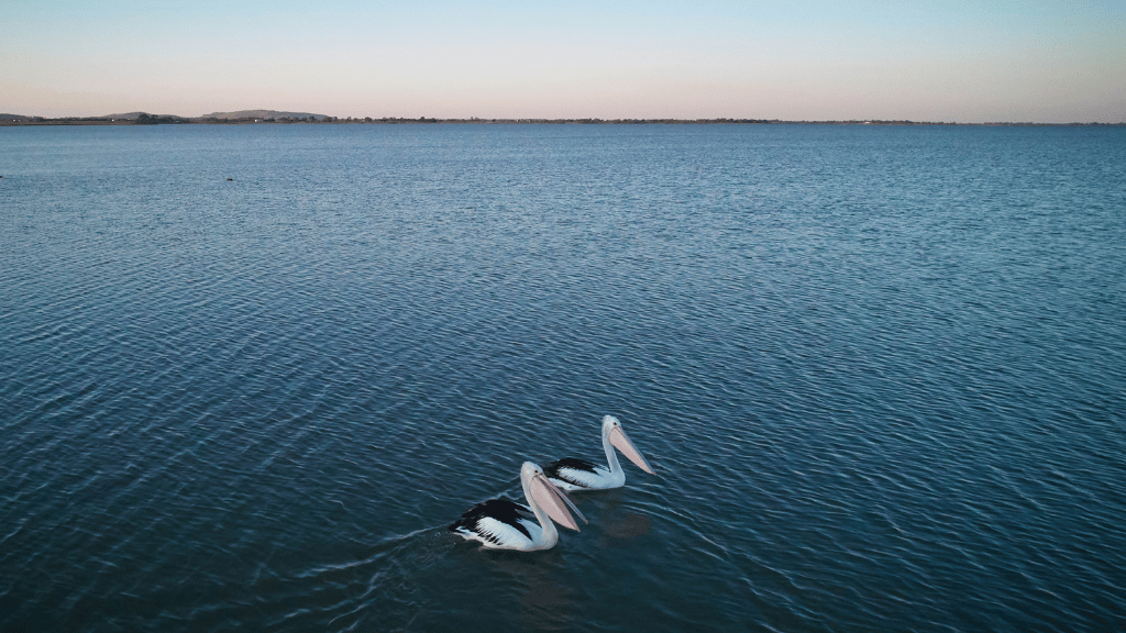 Clearwater - Colac Lifestyle