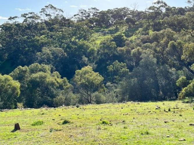 Coomurra Place Estate - Salisbury Heights 
