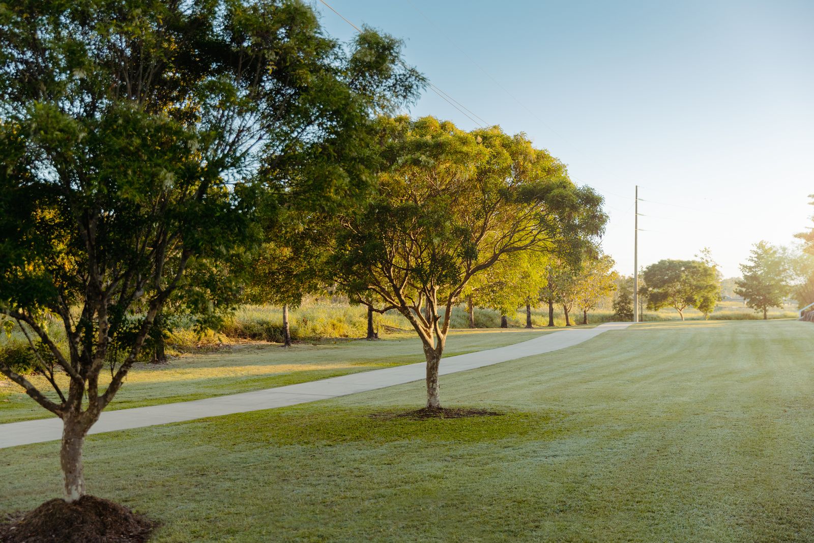 Cosgrove Estate - Cosgrove Streetscape