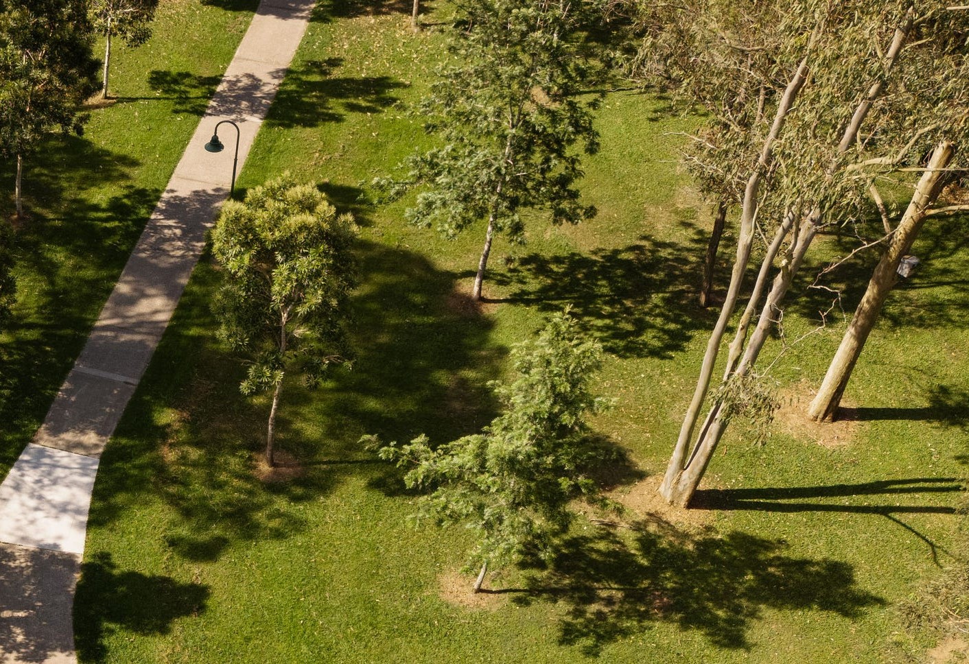 Cove Estate - McDowall Park