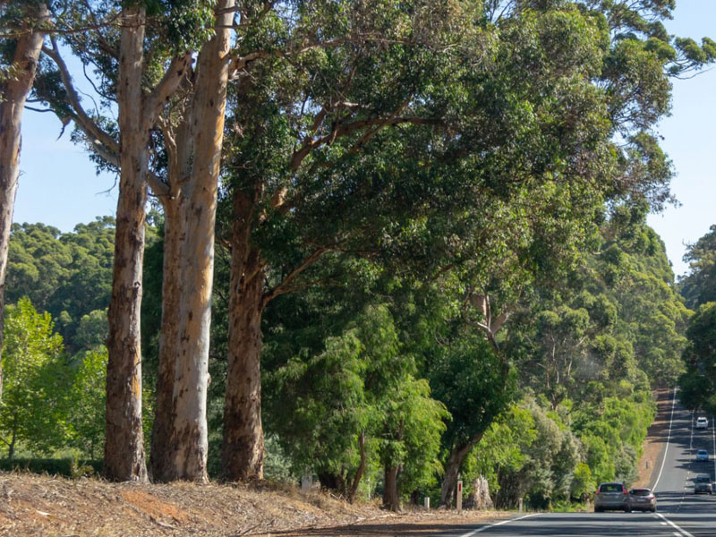 Cowaramup Industrial Estate - Cowaramup