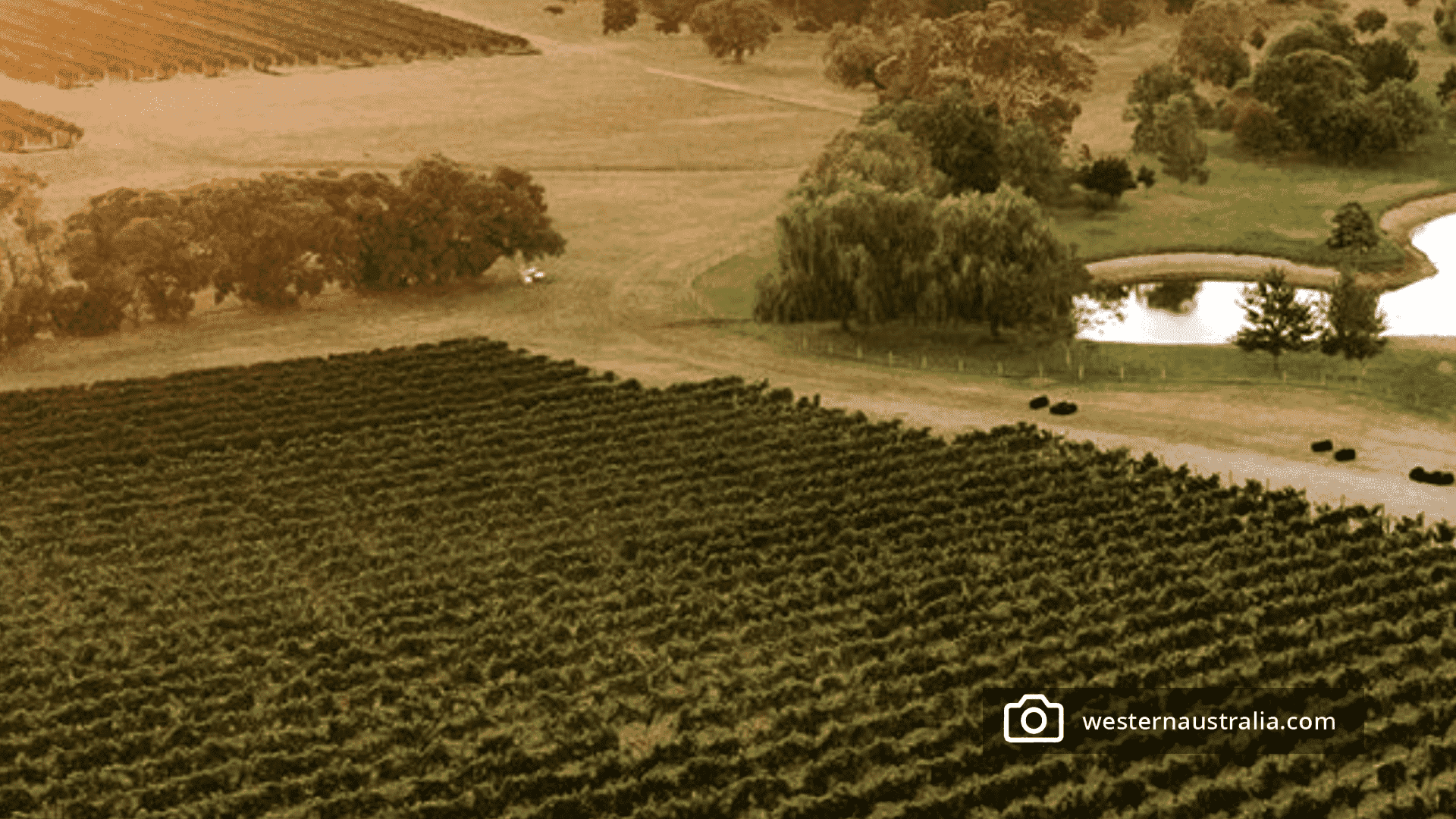 Dandalup Ranges Estate - North Dandalup Amenities