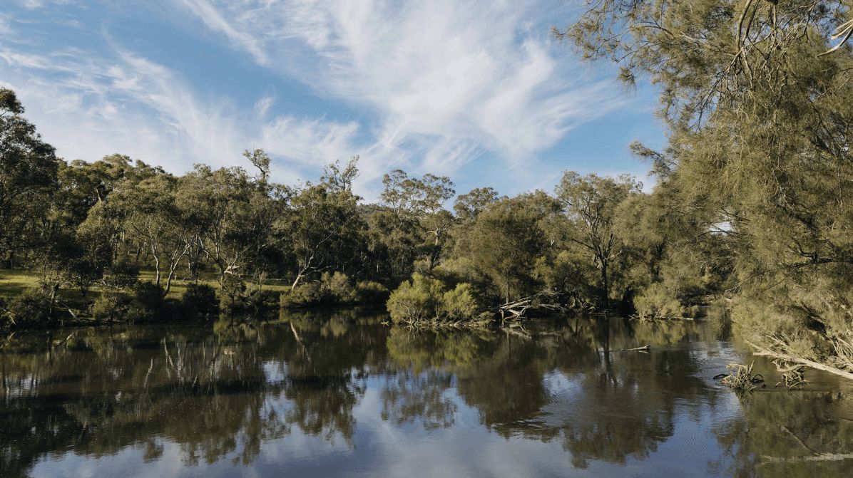 Darling Estate - Bullsbrook Other