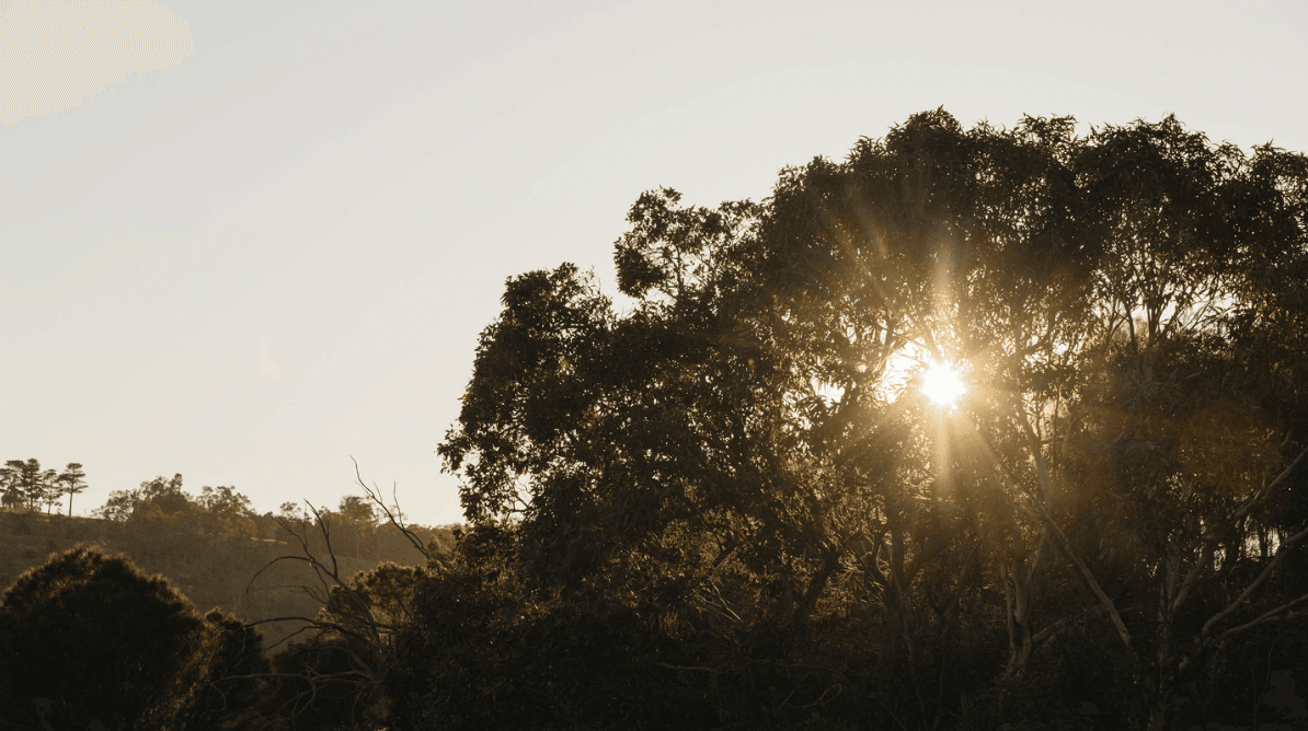 Darling Estate - Bullsbrook Other