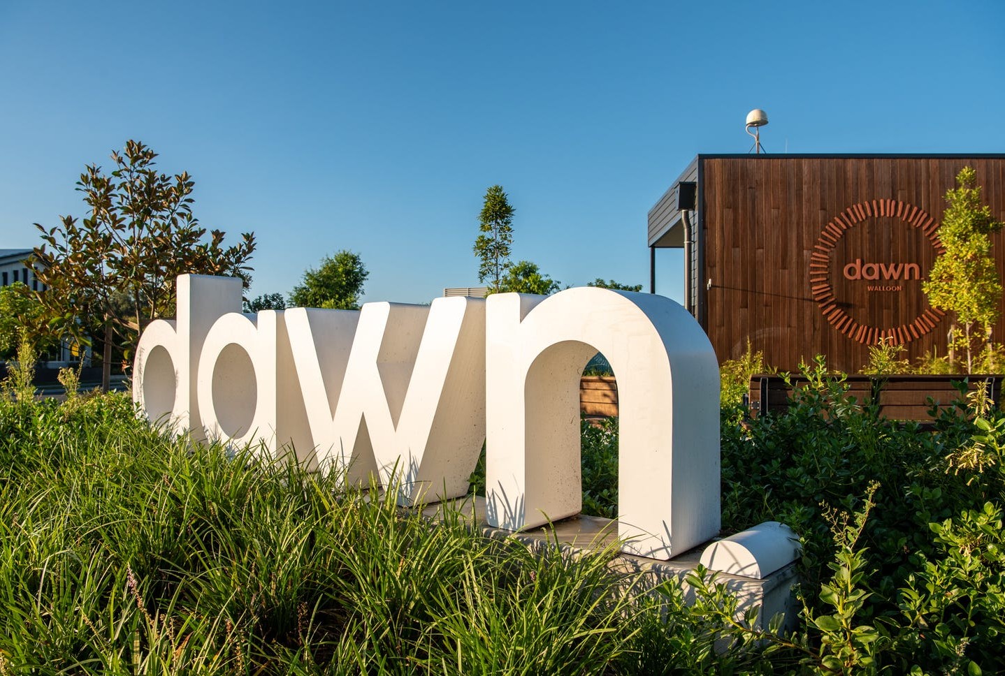 Dawn Estate - Walloon 
