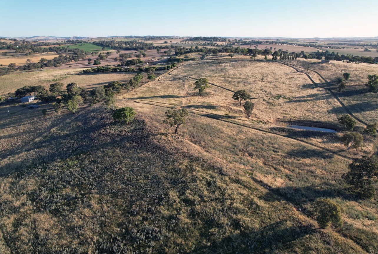 Donohoe-s Estate - Boorowa Aerial