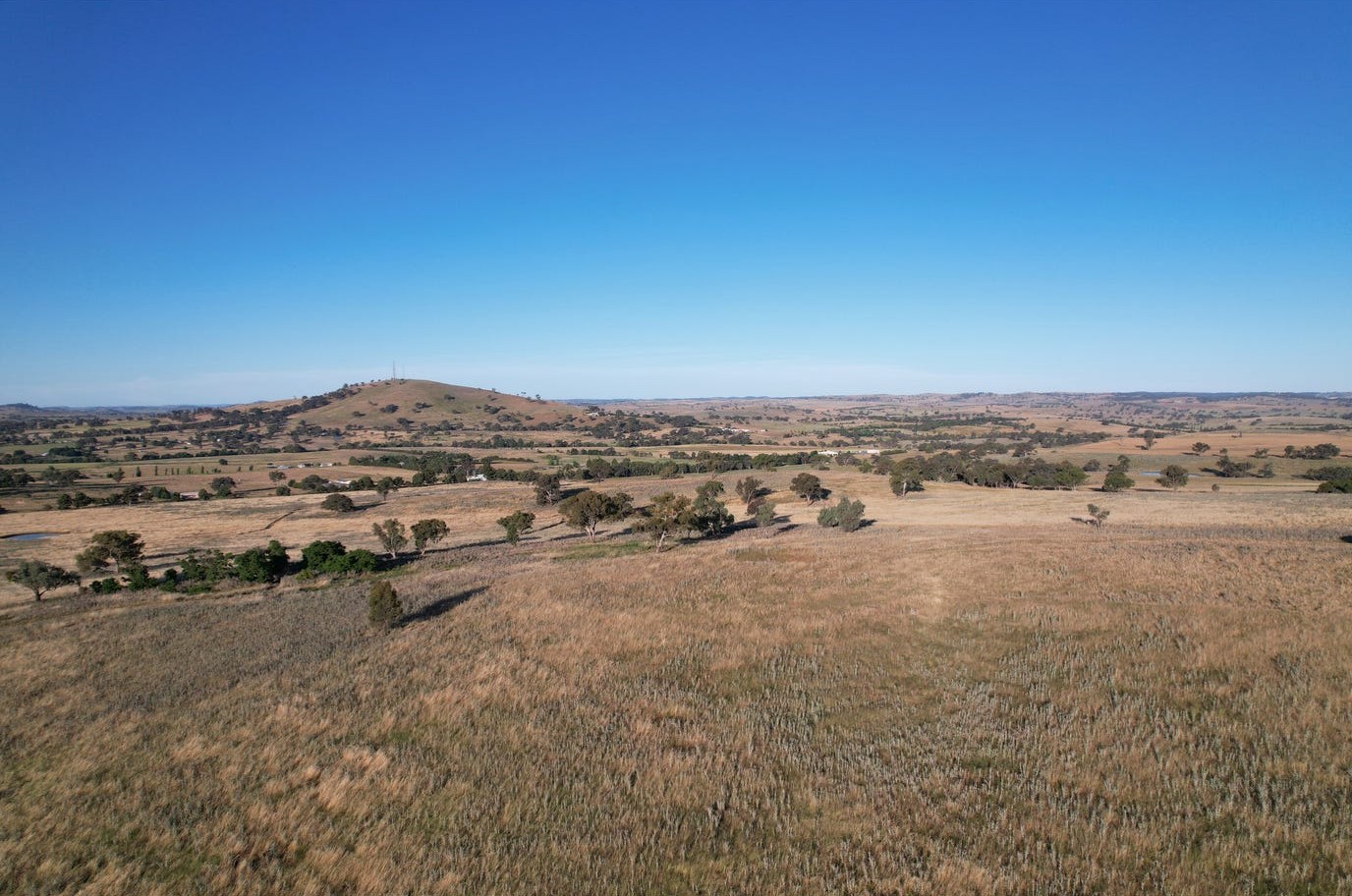 Donohoe-s Estate - Boorowa Other