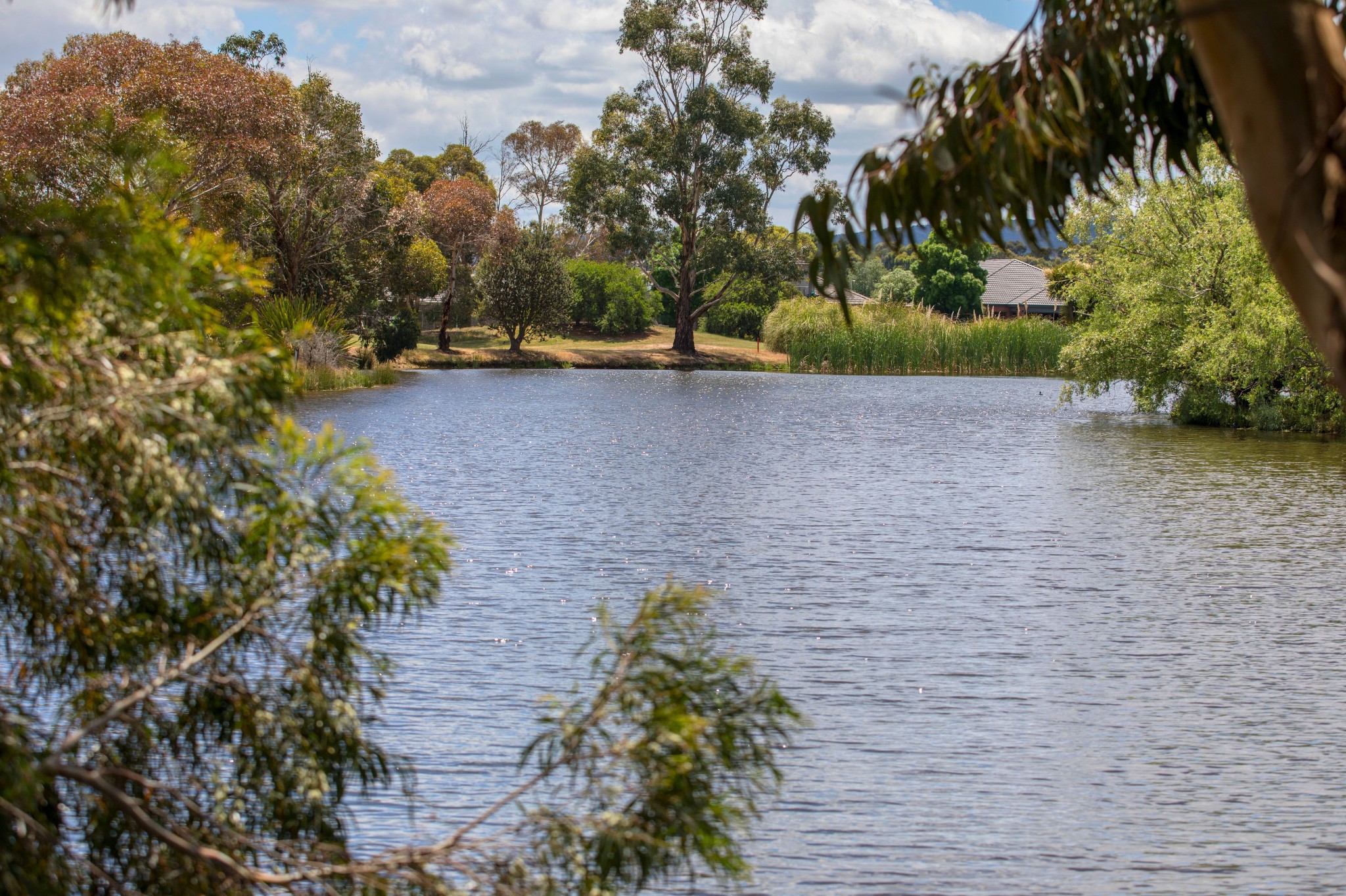 Drew's Paddock Estate - Invermay 