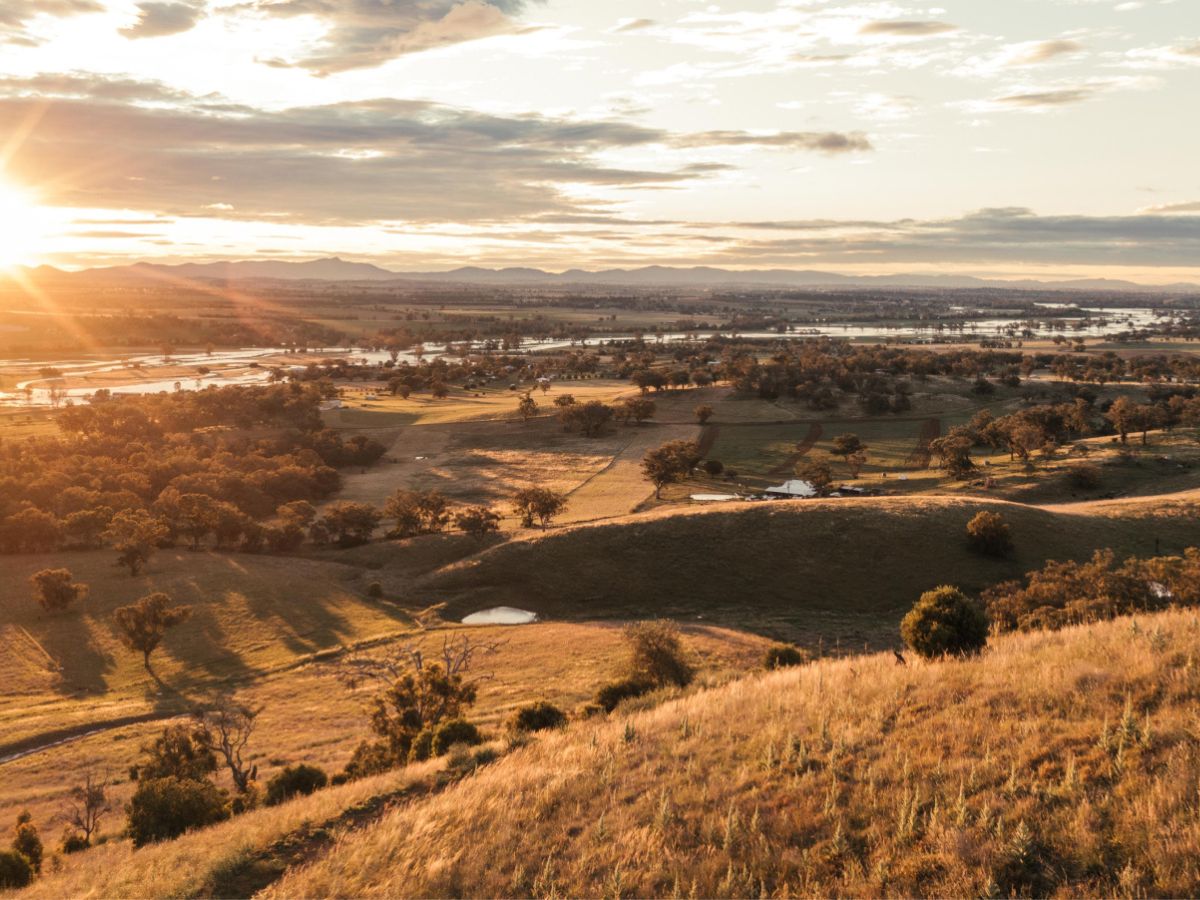 Eagle View Tamworth Estate - Moore Creek Lifestyle