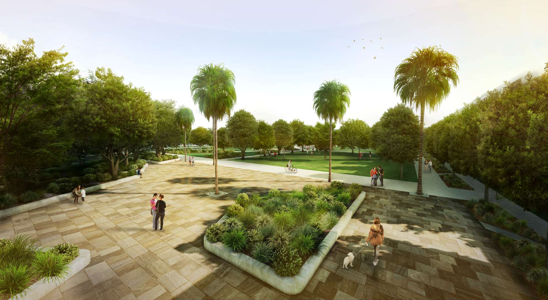 Echo Townhomes in Jubilee - Wyndham Vale