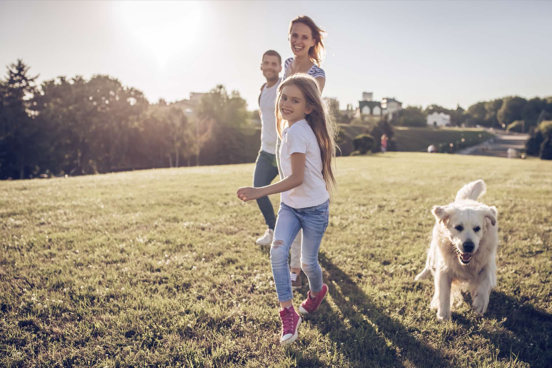 Elevate Estate - Ormeau Hills Lifestyle 2 Amenities