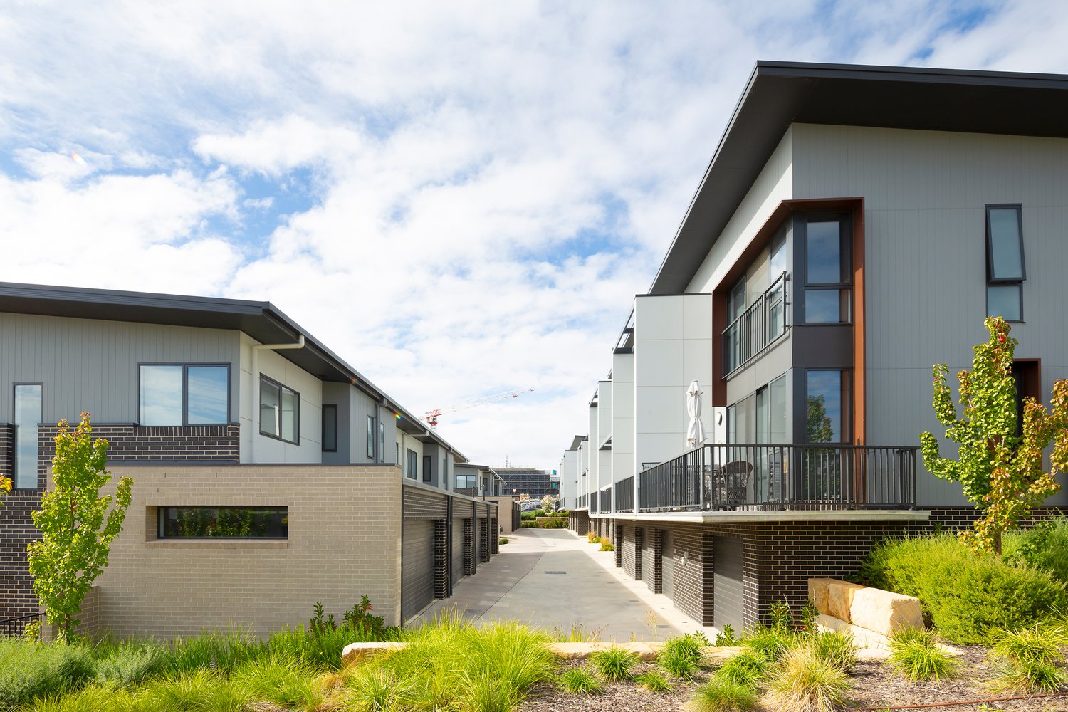 Elio Estate - Denman Prospect