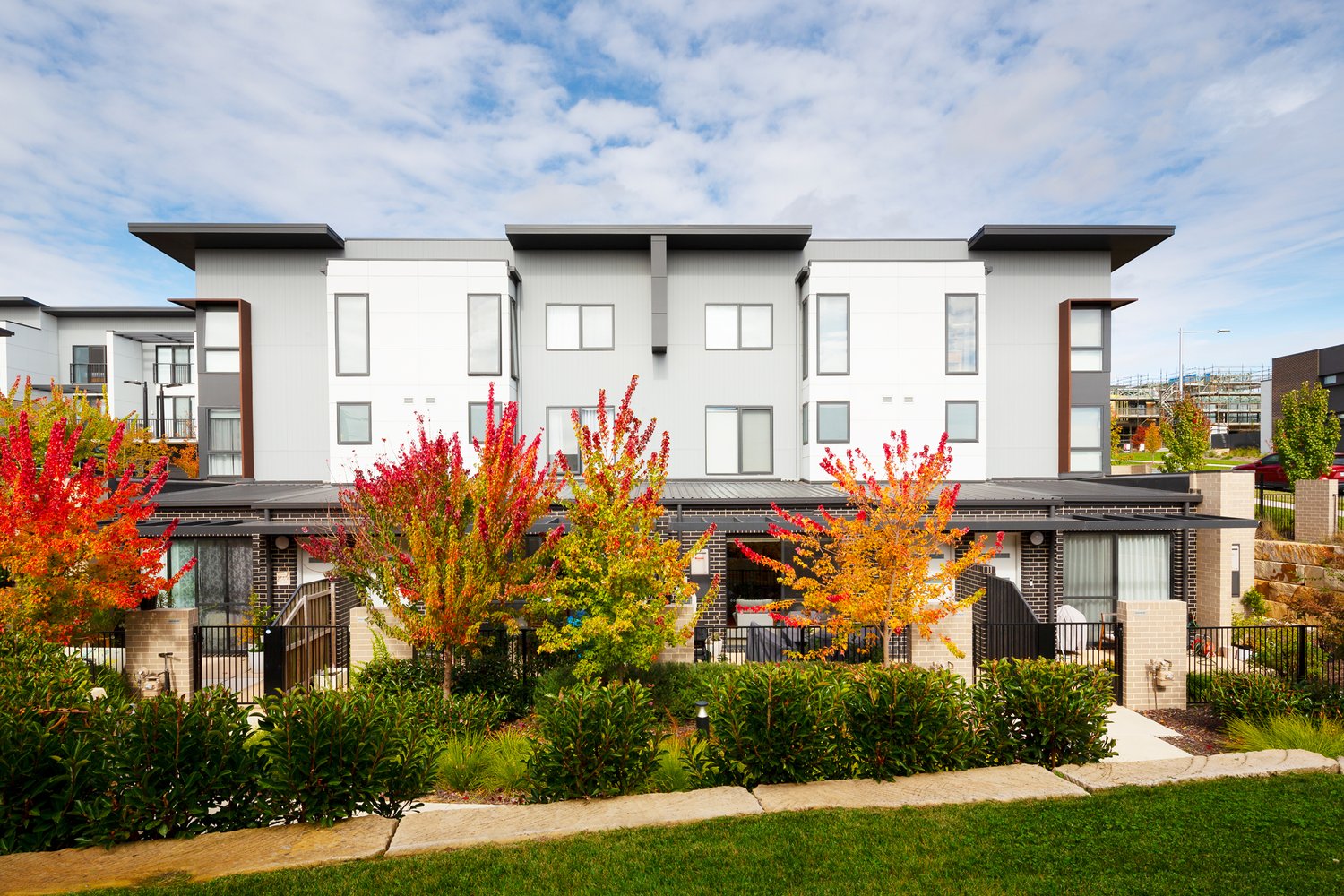 Elio Estate - Denman Prospect